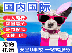 兴凯湖航空物流国际宠物托运 【国